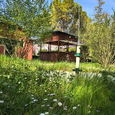 Vila Pulcinella *