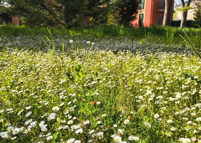 Вилла Pulcinella Сполето